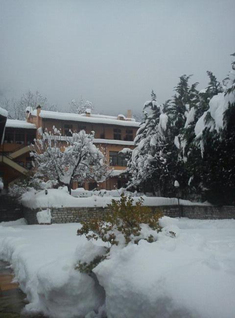 Hotel Papanastasiou Elati  Exterior photo